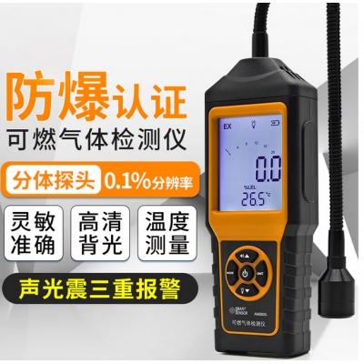 可燃?xì)怏w檢測儀